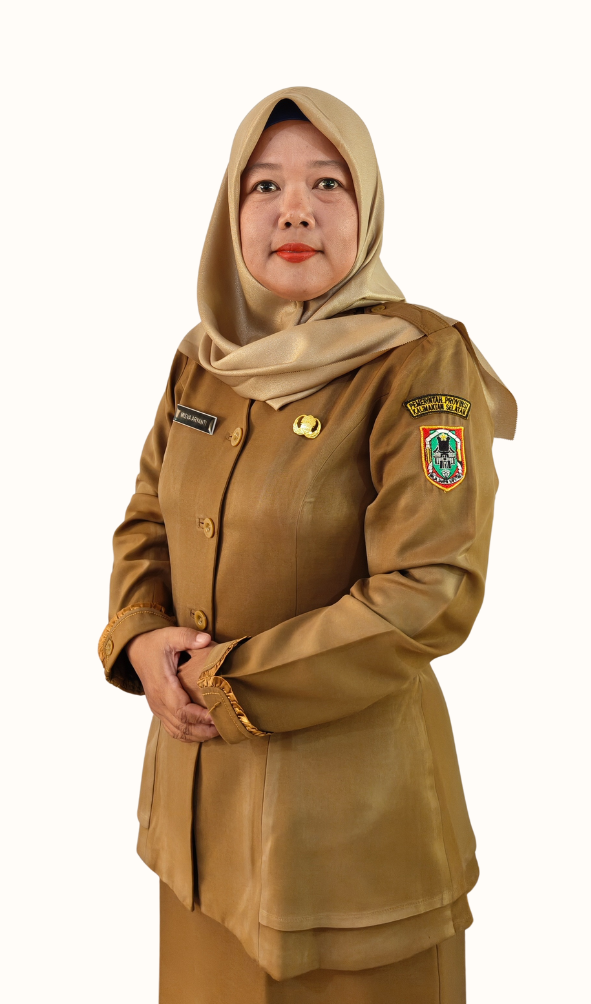 MISVA ARYANTI, S.E